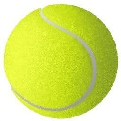 HOC ® High-Quality Cricket & Tennis Practice Ball for Training Outdoor Cricket. Cricket Tennis Ball(Standard, Pack of 6)