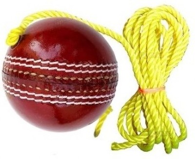 Forgesy Leather Cricket Hanging Ball, Standard Size Cricket Leather Ball(Standard, Pack of 1)