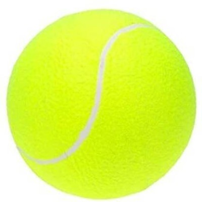 SSSG Heavy Tennis Balls specially for Cricket Tennis Ball (Pack of 10) Cricket Tennis Ball(Standard, Pack of 10, Green)