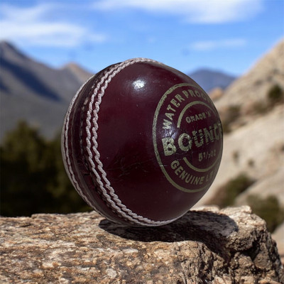LSI 4 panel red bouncer cricket leather ball Cricket Leather Ball(Standard, Pack of 1, Red)