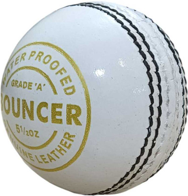 LSISPORTS 2 panel white bouncer cricket leather ball Cricket Leather Ball(Standard, Pack of 1, White)