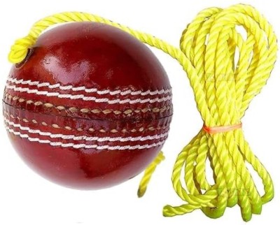 Wild Cat Leather Hanging Cricket Ball for Practice Match Cricket Leather Ball(Pack of 1)