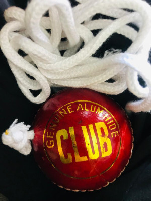 nizex Tough Leather Hanging Ball / Red / For Shot Practice , 1 Ball , GVC158 Cricket Training Ball(Standard, Pack of 1)