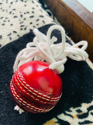 nizex NCXX- Leather Cricket Hanging Ball For Knocking Practice / Red , ZSS25 Cricket Training Ball(Standard, Pack of 1)