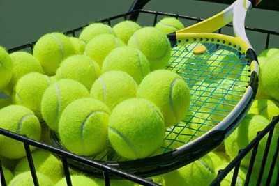 Owlix cricket tennis ball ( pack of 8 ball ) Cricket Tennis Ball(Pack of 8, Green)