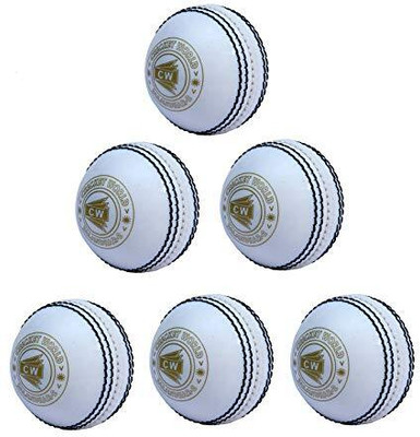 CW Spin Practice Cricket Balls Poly Soft PVC Ball Boy Adult White Color Cricket Synthetic Ball(Standard, Pack of 6, White)