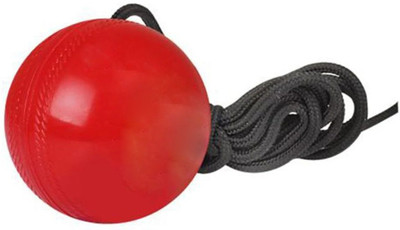 HOC ™ Hanging/Knocking Cricket Ball For Practise With 2 Meter Roop Cricket Training Ball(Standard, Pack of 1, Red)