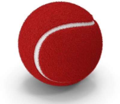 poolkool CRICKET RED TENNIS BALL PACK OF 1 Cricket Tennis Ball(Standard, Pack of 1, Red)
