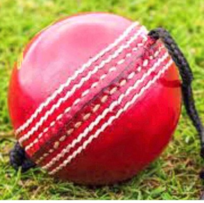 nizex Leather Cricket Hanging Ball For Shot Practice, Red , 1 Ball Pack , cf5 Cricket Training Ball(Pack of 1)