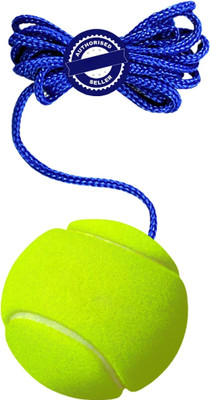 VS Sports Cricket Tennis Hanging Practice ball Heavy for Indoor/Outdoor Knocking Cricket Tennis Ball(Standard, Pack of 1, Green)