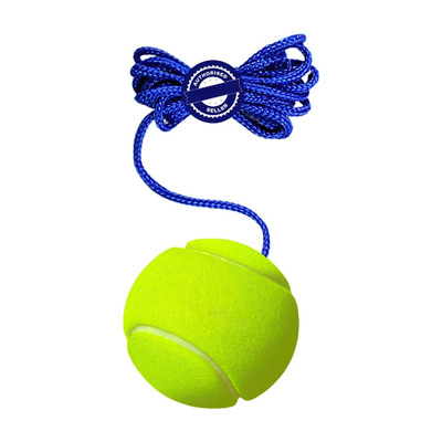 VS Sports Cricket Tennis Hanging Practice ball Heavy for Indoor/Outdoor Knocking Cricket Tennis Ball(Standard, Pack of 1, Green)