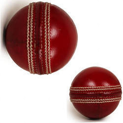 Iris Grape ® Special 4 Piece Construction Panel Red Cricket Leather Ball(Standard, Pack of 10, Red)
