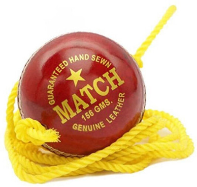 nizex XVll- Leather Hanging Ball Red Color For Shot Practice ( 1 ball) e87 Cricket Training Ball(Standard, Pack of 1)