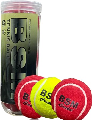 BSM REBOUND TENNIS BALL Cricket Tennis Ball(Pack of 3, Red, Green, Red)