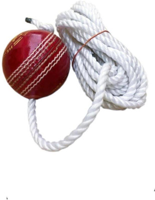 nizex Leather Cricket Hanging Ball For Knock Practice /Red Color -BQ22 Cricket Training Ball(Standard, Pack of 1, Red)