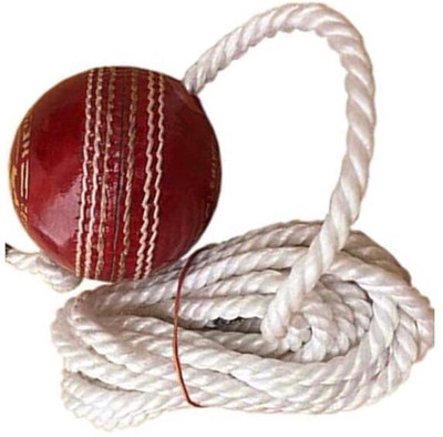 nizex Tough Leather Hanging Ball/ Red ,For Shot Practice ,1 Ball xxc16 Cricket Training Ball(Standard, Pack of 1)