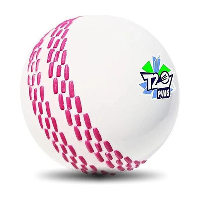 Jaspo T-20 Plus Practice Cricket Ball/Wind Balls for - Indoor & Outdoor Street & Beach Cricket Synthetic Ball(Standard, Pack of 1, White)