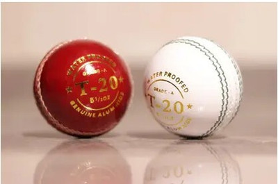 Cricketkingdom WHITE AND RED T-20 BALL Cricket Leather Ball(Standard, Pack of 2, White, Red)