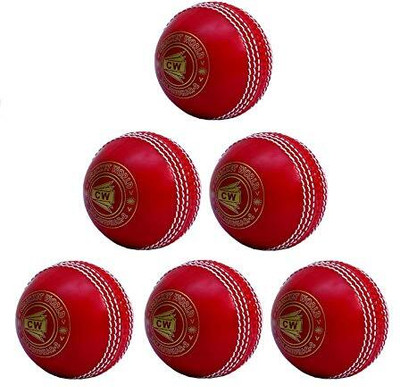CW Spin Practice Cricket Balls Poly Soft PVC Ball Boy Adult ALL RED Color Cricket Synthetic Ball(Standard, Pack of 6, Red)