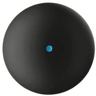 dynamics Squash Ball, SB190, Blue Dot, Set Of 2, Squash Ball(Pack of 2, Black)