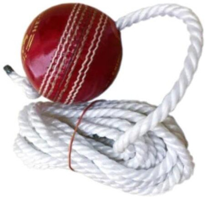 nizex Leather Cricket Hanging Ball For Shot Practice /Red Color -AQ107 Cricket Training Ball(Standard, Pack of 1, Red)