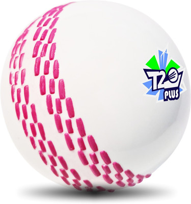 Jaspo T-20 Plus Practice Cricket/Wind Ball for Indoor & Outdoor Street Cricket Synthetic Ball(Standard, Pack of 1, White)