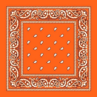 Bismaadh Men Printed Bandana