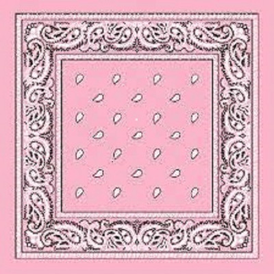Bismaadh Men Printed Bandana