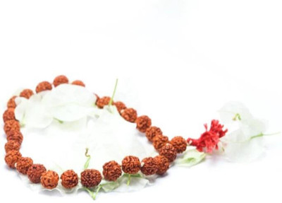 Rudraksham Rudraksha Bracelet