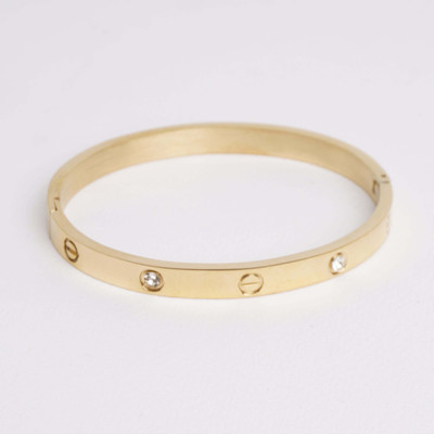 Temora Stainless Steel Cubic Zirconia Gold-plated Charm Bracelet