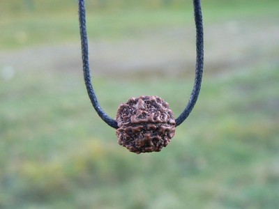 Rudraksham Rudraksha Bracelet