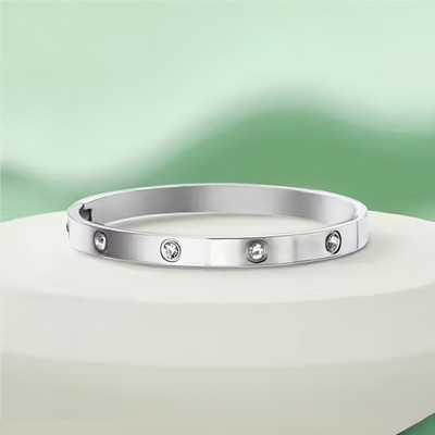 Ruhi Collection Stainless Steel Cubic Zirconia Titanium Bangle