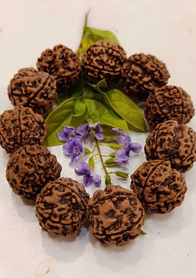Shiv Aastha Rudraksha Beads Bracelet