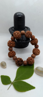 Shiv Aastha Wood, Rudraksha Bracelet