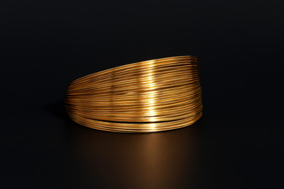 YOGINI JEWELS Stainless Steel Gold-plated Bracelet