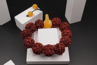 Dharmsaar Rudraksha Bracelet