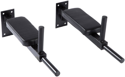 IRIS Wall Mounting Bar for Dips, Leg raise and multiple exercises Dip Station(Black)