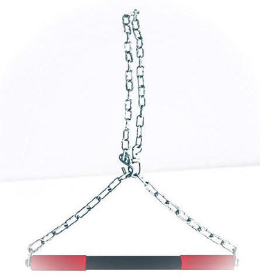 Fitdex SPORTS & FITNESS Height Increasing Chinup Bar/Hanging Chain with 4ft Chain_h-54 Pull-up Bar