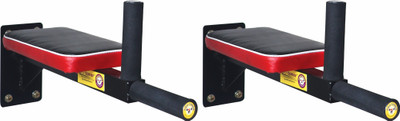 Protoner Wall mountable Dip Station