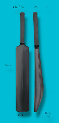 LIONER LINOR FULLSIZE PLASTIC CRICKET BAT PVC/Plastic Cricket  Bat For 15+ Yrs(.650 kg)