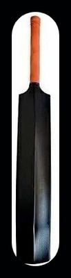 Traders Victoo_PREMIUM_PVC/PLASTIC BAT_SUPER QUALITY-256-B PVC/Plastic Cricket  Bat For 15+ Yrs(700-800 g)