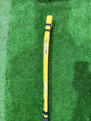 EWSPORTS Yellow Mamba Hard Tennis Cricket Bat (1kg) Kashmir Willow Cricket  Bat For 15+ Yrs(1 kg)