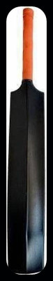 Traders long handle pvc grade- 1-061-B PVC/Plastic Cricket  Bat For 15+ Yrs(700-800 g)
