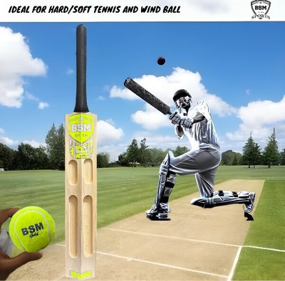 BSM BLADE X NEON BAT Kashmir Willow Cricket  Bat For 15+ Yrs(800-900 g)