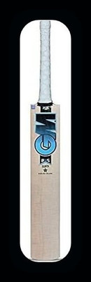 Traders New_gm blue hard tanices ball bat kasmiri willow-B Kashmir Willow Cricket  Bat For 15+ Yrs(0.1100 kg)