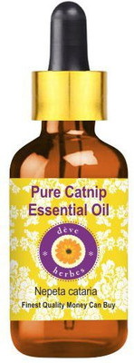 deve herbes Pure Catnip Essential Oil (Nepeta cataria) with Glass Dropper Steam Distilled(5 ml)