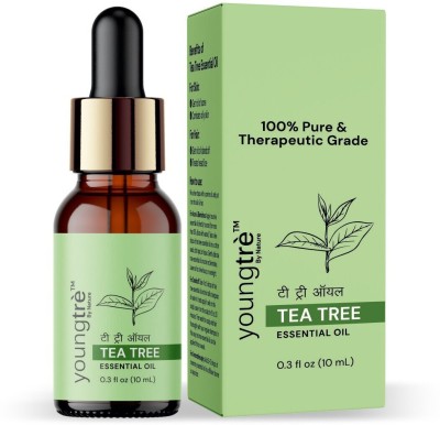 Youngtre Young tre Tea Tree Essential oil 10ml for Anti Dandruff Oil Hair Oil(10 ml)