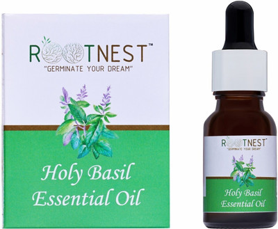 ROOTNEST Holy basil oil-15ml(15 ml)
