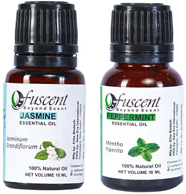 FUSCENT Essential Oil Pack of 2 Jasmine And Peppermint Combo Pure And Nautral Undiluted(20 ml)