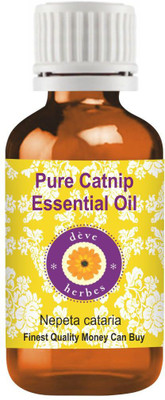 deve herbes Pure Catnip Essential Oil (Nepeta cataria) Steam Distilled(5 ml)